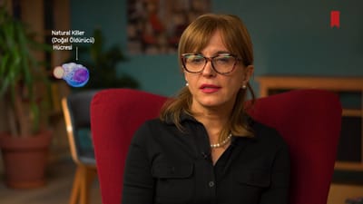 https://video.neoskola.net/lesson-thumbnails/2qSBaKTsvZxCFxvvA-1756453328315.jpg