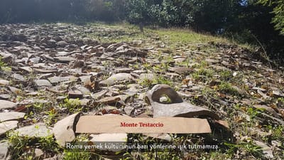 https://video.neoskola.net/lesson-thumbnails/650c01a31857e0b73f533df7-1756982895560.jpg