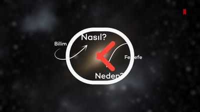 https://video.neoskola.net/lesson-thumbnails/673c410f35931bf0548577f6-1756640671828.jpg