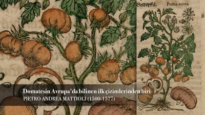 https://video.neoskola.net/lesson-thumbnails/B3tnHWccjNCLcFbjL-1756648778759.jpg