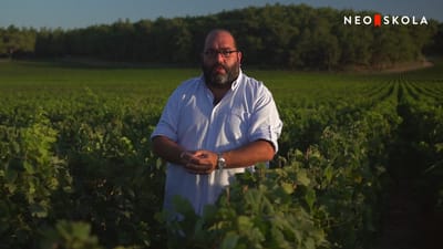 https://video.neoskola.net/lesson-thumbnails/Dc7K8TQDkeQNqu8Yx-1756638390286.jpg