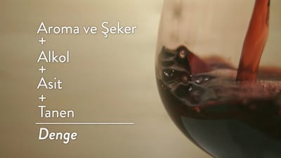 https://video.neoskola.net/lesson-thumbnails/KetdrJdoBfLau9Hcs-1756680929855.jpg