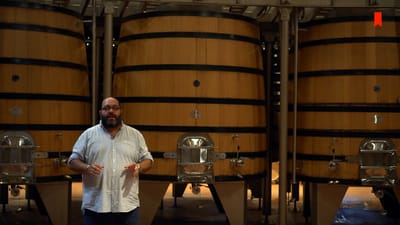 https://video.neoskola.net/lesson-thumbnails/WMcYGWu7kNR3B95uF-1756638214276.jpg