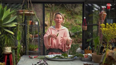 https://video.neoskola.net/lesson-thumbnails/aASyPtcmHcucRM7Tx-1756392462262.jpg