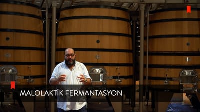 https://video.neoskola.net/lesson-thumbnails/fShCbLt3SeFWNd4Zf-1756638003712.jpg