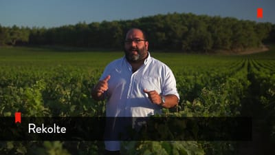 https://video.neoskola.net/lesson-thumbnails/rXLKsJTKvDAhp2zwx-1756638422518.jpg