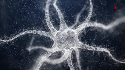 https://video.neoskola.net/thumbnails/673c442135931bf054857dd3-1770810829083.jpg