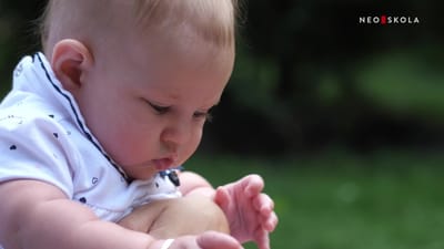 https://video.neoskola.net/thumbnails/68b18d9ef1d9a64ab364f862-1770800652998.jpg