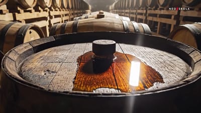 https://video.neoskola.net/thumbnails/694aa558e4e618452a19c874-1770795145768.jpg