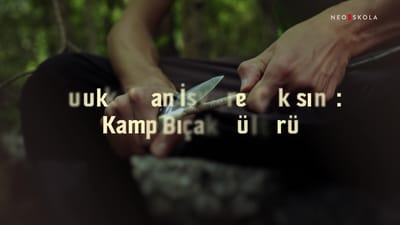 https://video.neoskola.net/thumbnails/6a6af9be925e15d4d6cd92f4-1785395646678.jpg