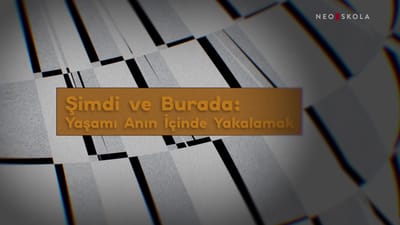 https://video.neoskola.net/thumbnails/6a87021eb0e11fe6e98ed2b1-1787232799446.jpg