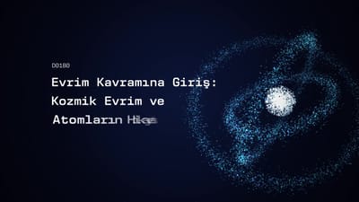 https://video.neoskola.net/thumbnails/6aaceb4928785ce7f53d2827-1789717328852.jpg