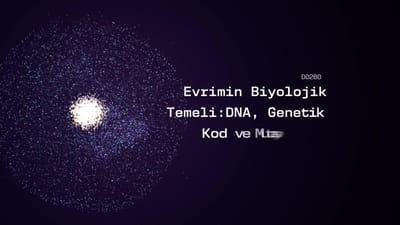 https://video.neoskola.net/thumbnails/6aacec9e28785ce7f53d2c6b-1789717662949.jpg