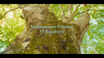 https://video.neoskola.net/thumbnails/6ad0b6a87a12be2c7b3147bc-1792063144311.jpg