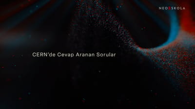https://video.neoskola.net/thumbnails/courses/683488892d63b64cba0ac20d/lessons/683488df2d63b64cba0ac271-1772878454265.jpg