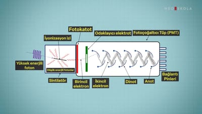 https://video.neoskola.net/thumbnails/courses/683488892d63b64cba0ac20d/lessons/68356bbd2d63b64cba0ebb31-1772878468632.jpg