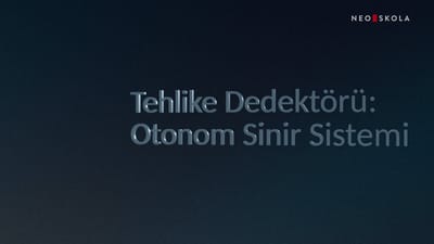 https://video.neoskola.net/thumbnails/courses/6866479f99074c0fd687cafe/lessons/68664af299074c0fd687cf08-1772198957645.jpg