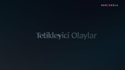https://video.neoskola.net/thumbnails/courses/6866479f99074c0fd687cafe/lessons/68664e5899074c0fd687d301-1772198960336.jpg