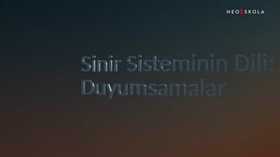 https://video.neoskola.net/thumbnails/courses/6866479f99074c0fd687cafe/lessons/68664fea99074c0fd687d4af-1772198962287.jpg