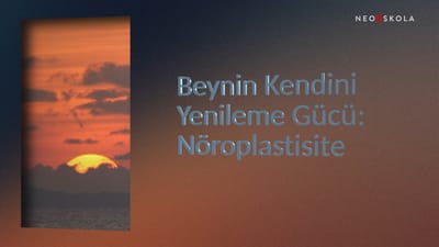 https://video.neoskola.net/thumbnails/courses/6866479f99074c0fd687cafe/lessons/686653f699074c0fd687dbe3-1772198968824.jpg