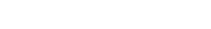 Osman Erden