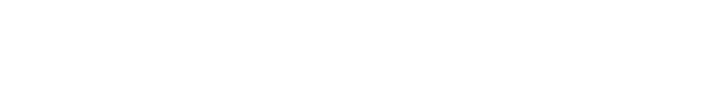Soli Özel