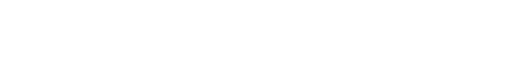 Deniz İrem Ergüney