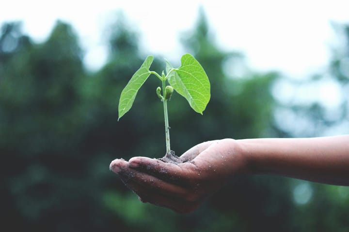Avrupa Yeşil Mutabakatı - Neo Skola Blog