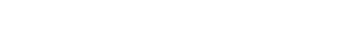 Soli Özel
