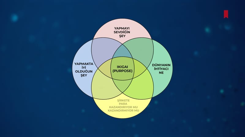 Purpose hakkında doğru bilinen yanlışlar - Neo Skola Blog