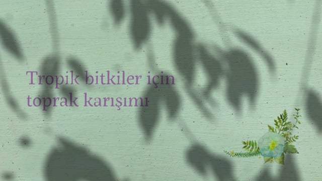 https://video.neoskola.net/lesson-thumbnails/3gBQmqigTgJ8Q2Y5t.jpg