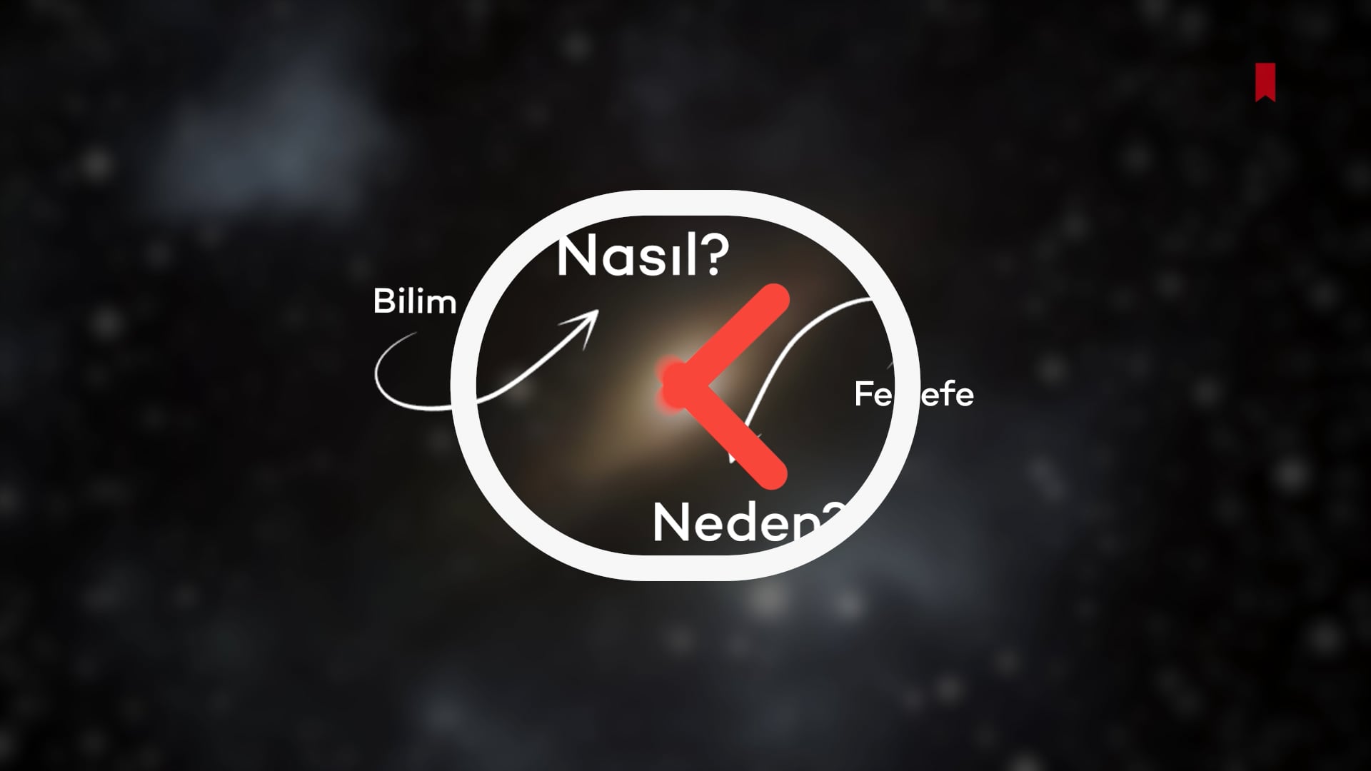 https://video.neoskola.net/lesson-thumbnails/673c410f35931bf0548577f6-1732002064074.jpg