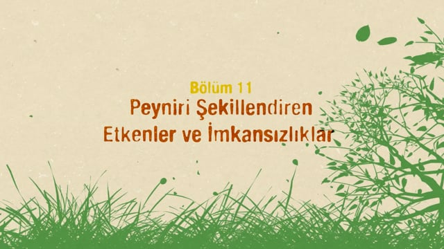 https://video.neoskola.net/lesson-thumbnails/EgiWANgPpKoimzkRc.jpg