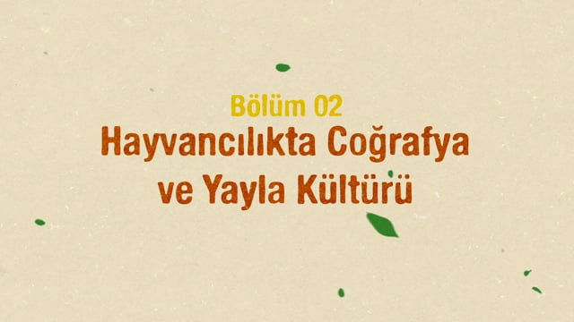 https://video.neoskola.net/lesson-thumbnails/EptnCFgFnd4e7PBM9.jpg