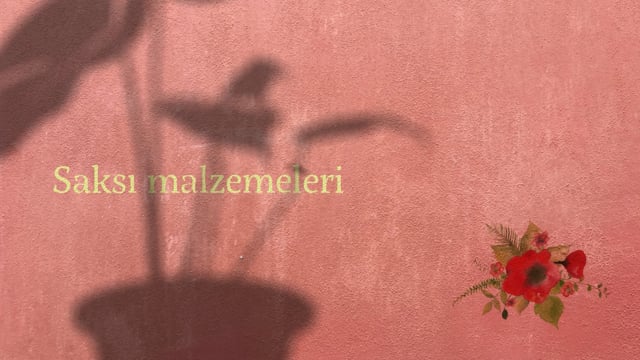 https://video.neoskola.net/lesson-thumbnails/NPq8SeimcuGGfkr8i.jpg