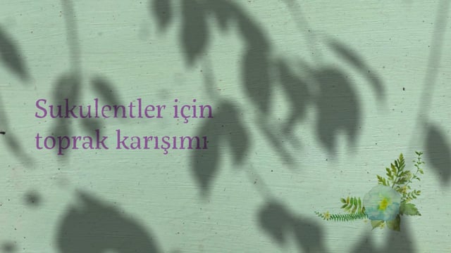 https://video.neoskola.net/lesson-thumbnails/Pg5j6NZNNxNDhi2dm.jpg