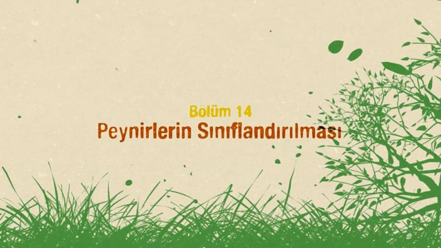 https://video.neoskola.net/lesson-thumbnails/QDAWNKrHt9pWmwgJm.jpg