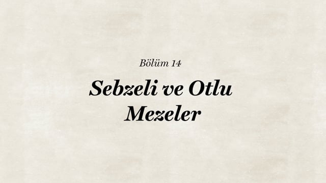 https://video.neoskola.net/lesson-thumbnails/T8xYhe6JL74bRiLpu.jpg