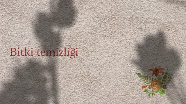 https://video.neoskola.net/lesson-thumbnails/XaXpAnjGgX6CSAMzh.jpg