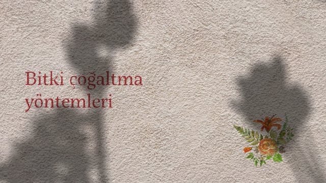 https://video.neoskola.net/lesson-thumbnails/aASyPtcmHcucRM7Tx.jpg