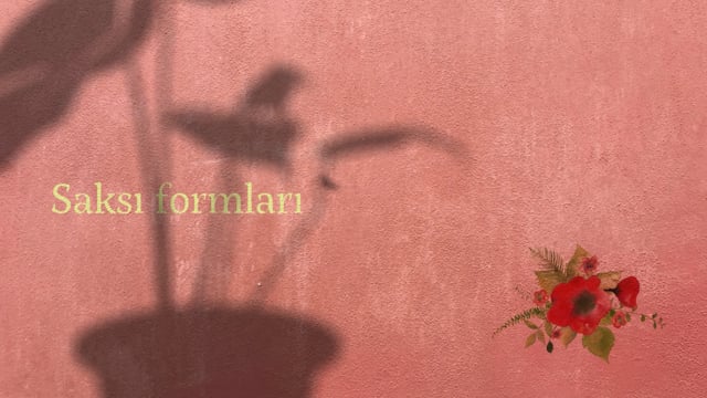 https://video.neoskola.net/lesson-thumbnails/eJ8HoTuAYwrEsQpy8.jpg