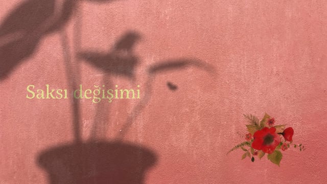 https://video.neoskola.net/lesson-thumbnails/iBN5YbEyYpaB6jJoF.jpg