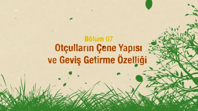 https://video.neoskola.net/lesson-thumbnails/nmW8G85PQJXpm6zsd.jpg