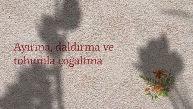 https://video.neoskola.net/lesson-thumbnails/uC2qC5SDqf34wukTs.jpg